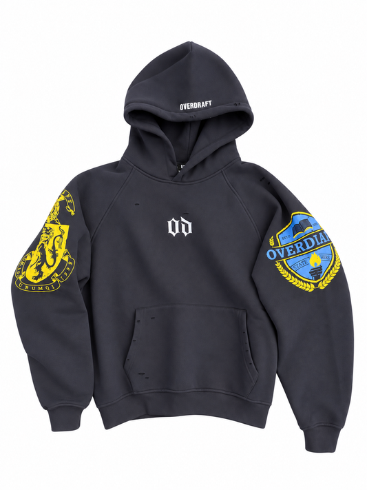 COLLEGE HOODIE